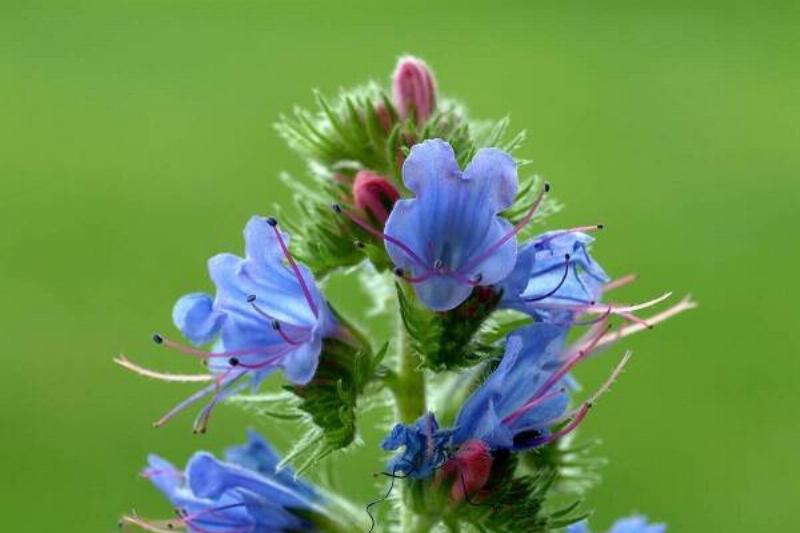 15 Renov Plantas 48 15 Renov Plantas 48