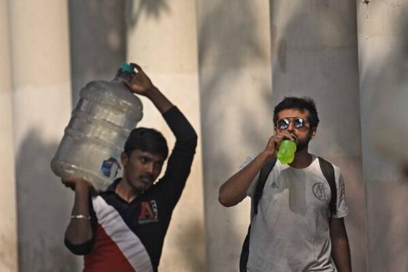 16 Renov Jamaica Flor 21 16 Renov Jamaica Flor 21