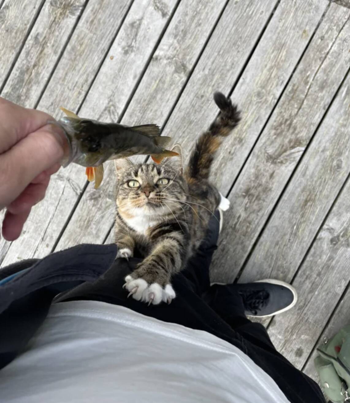 Screenshot 2024-03-12 at 4.32.38 PM