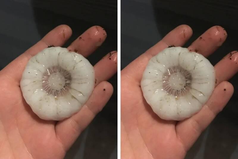 Untitled design (54)