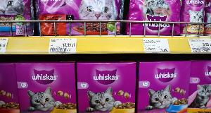 Don’t Give These Foods To Your Cat – A Ranking Of The Best And Worst Cat Food Brands