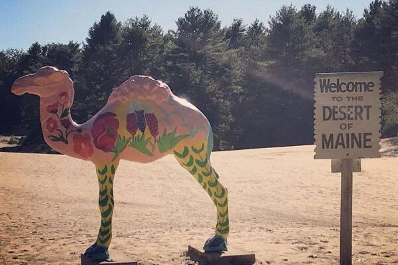 11 Renov Atraciones EEUU 39