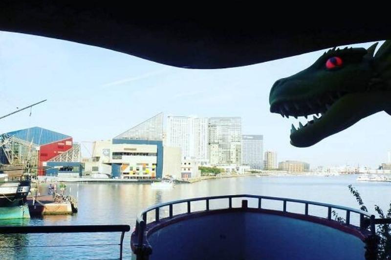 11 Renov Atraciones EEUU 40