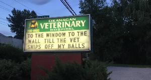 Vet Clinic Signs Becoming Internet Stars For Their Hilarious Messages!