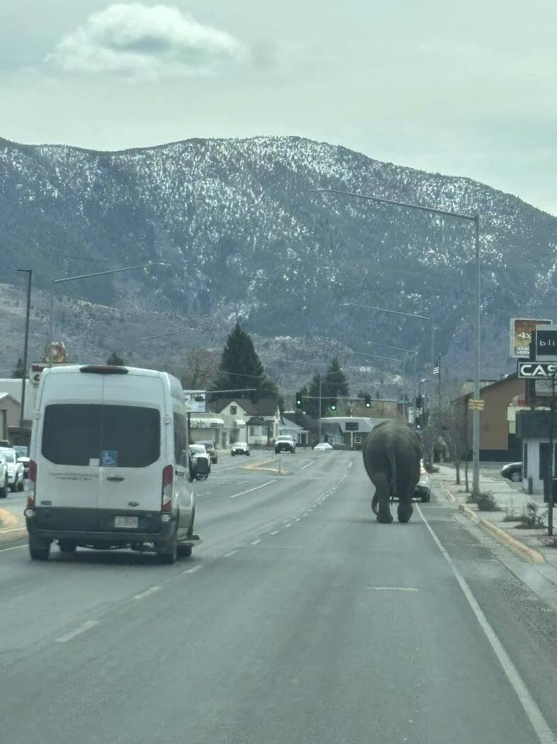 Screenshot 2024-04-23 at 3.14.38 PM