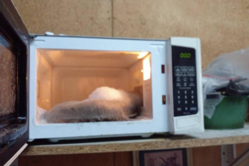 Screenshot 2024-04-23 at 4.12.33 PM