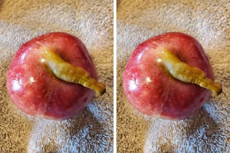 Untitled design - 2024-04-23T162552.416