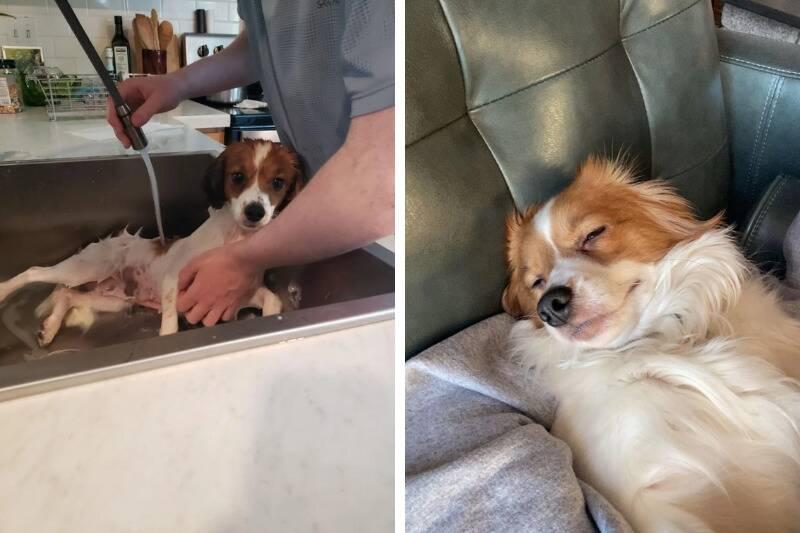 bath3 bath3