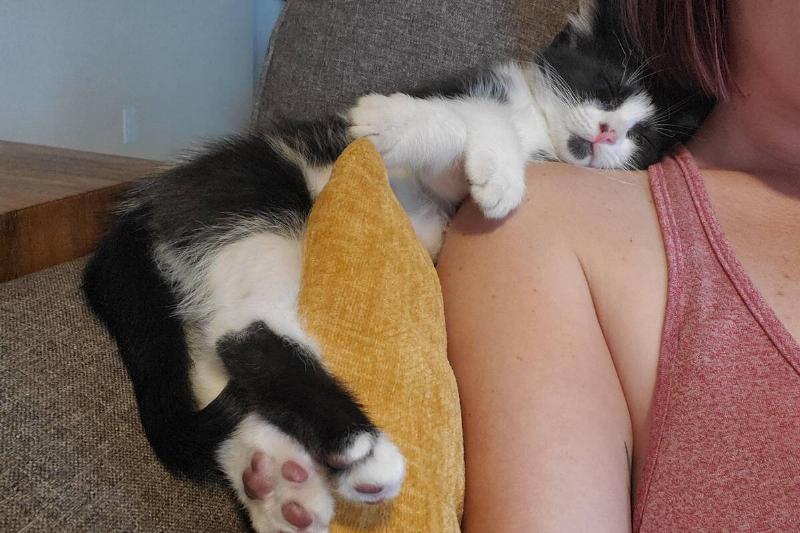 sleepy sleepy