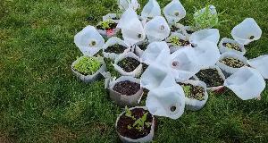 Insane Hacks To Try In Your Yard And Garden This Year