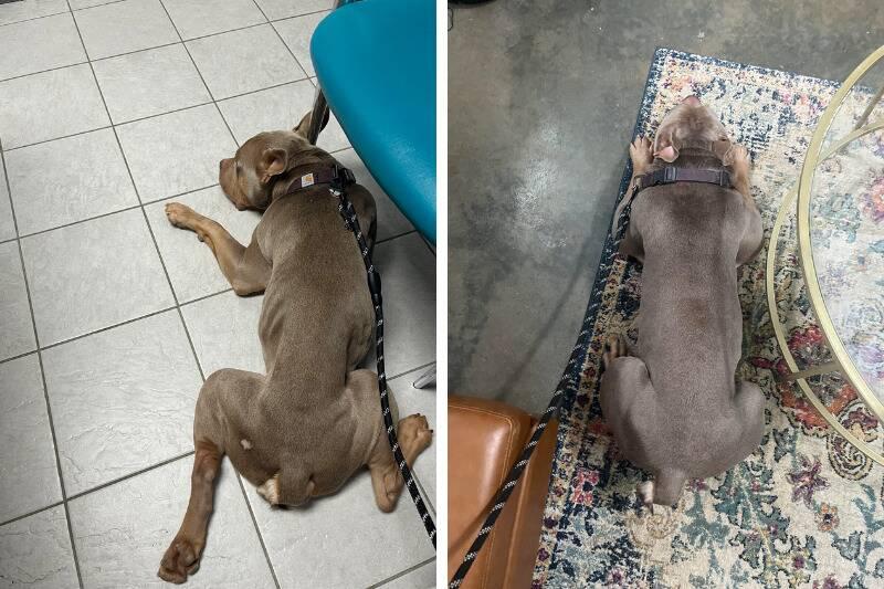 weight3 weight3