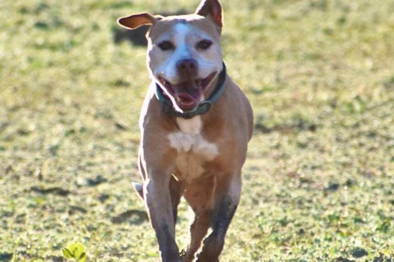 295883262_5248051625313764_8888305151430584435_n