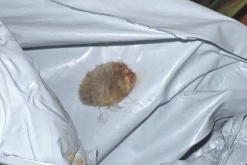 Screenshot 2024-04-30 at 3.57.52 PM