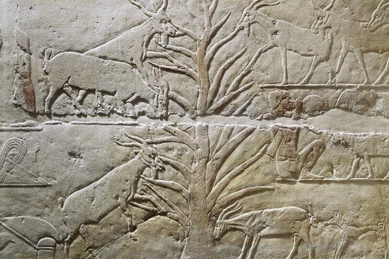 Relief depicting goats grazing a sycamore tree from the Mastaba of Akhatep, Saqqara, Old Kingdom