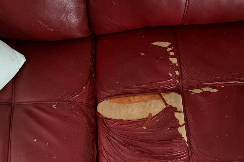 couch couch
