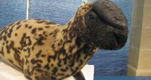 50 Of The Most Dangerous Creatures Of All Time (If You See This Animal, You Better Run!)