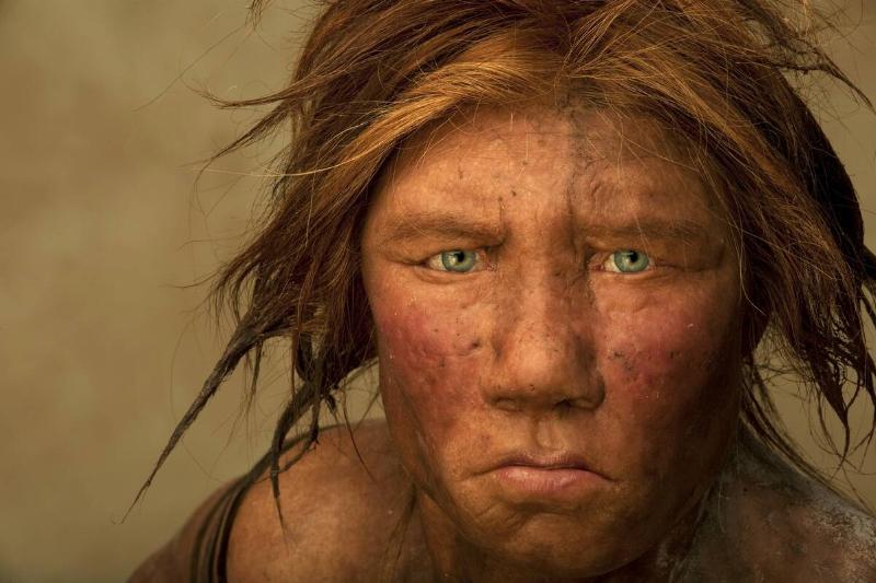 Neanderthal Female