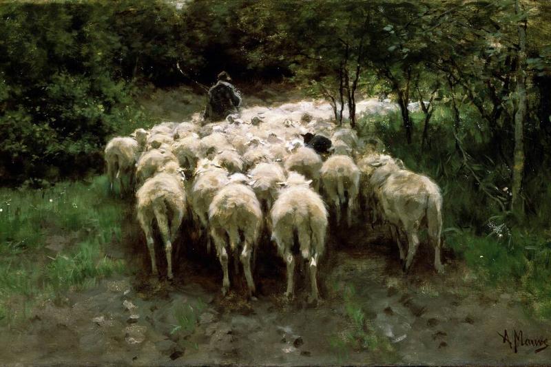 'Sheep in the Forest', 19th century. Artist: Anton Mauve 'Sheep in the Forest', 19th century. Artist: Anton Mauve