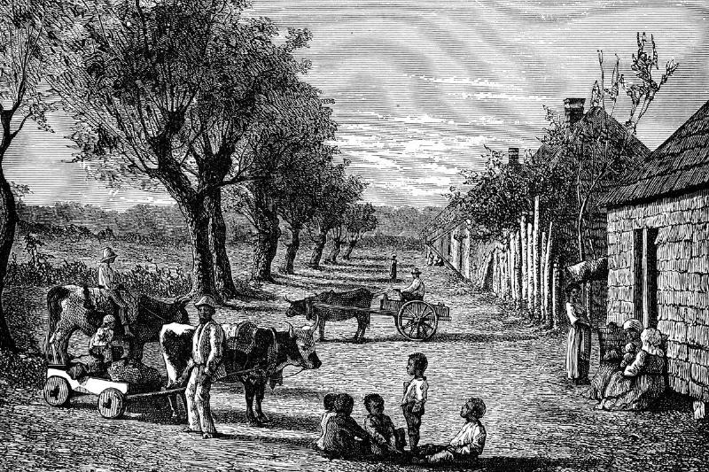Slave quarters on a plantation in Georgia, USA. Slave quarters on a plantation in Georgia, USA.