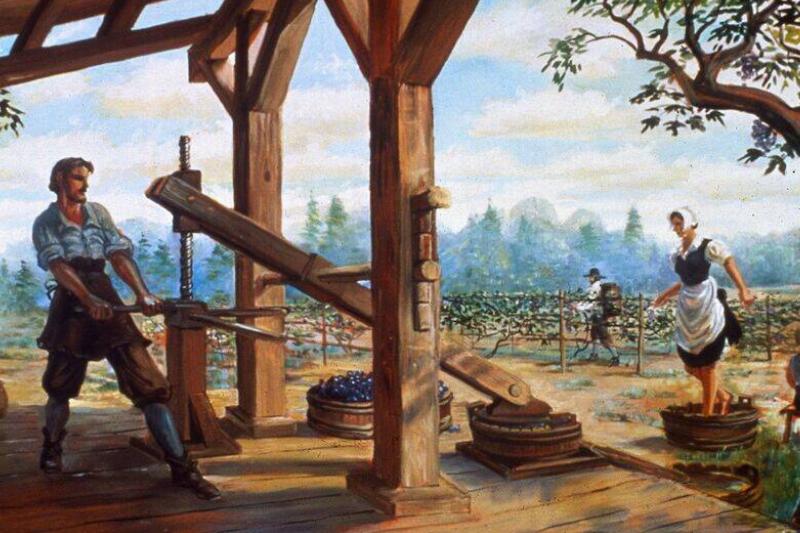 Winemaking Winemaking