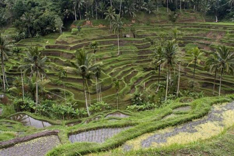 2 Renov Lugares Turisticos 38