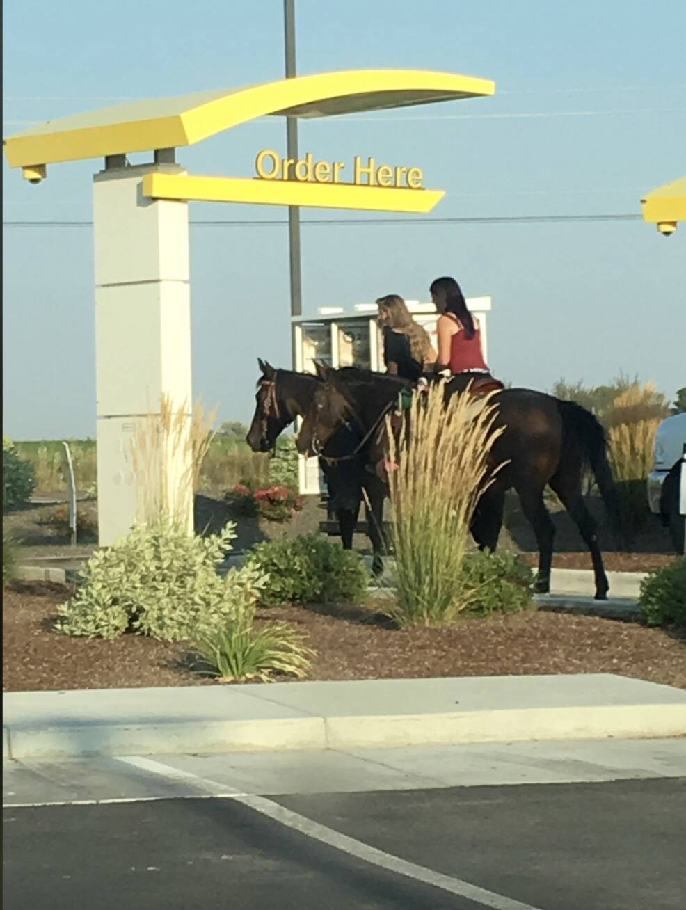 Screenshot 2024-07-16 at 4.10.32 PM