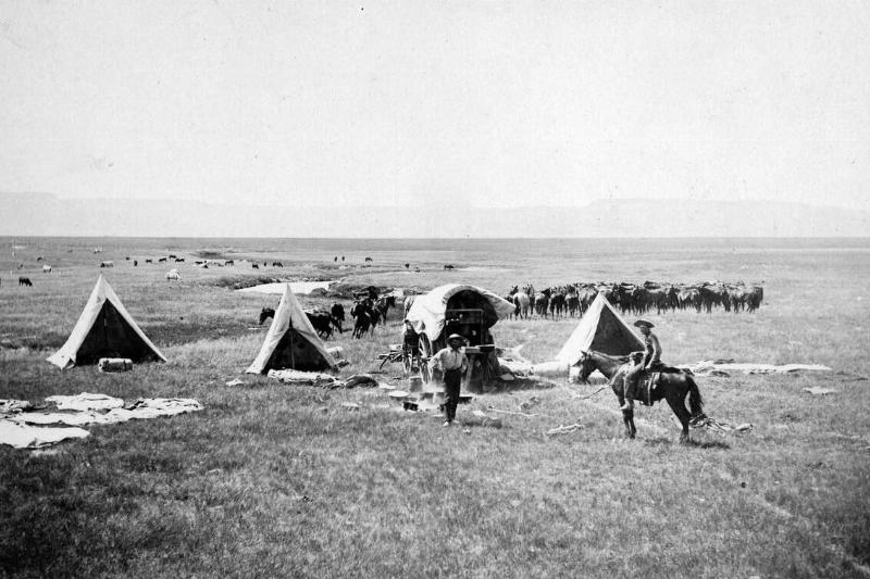 Ox Ranch Cowboys In New Mexico