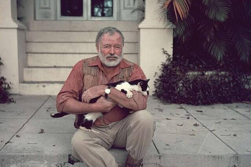 640px-Ernest-Hemingway-with-cat-1954