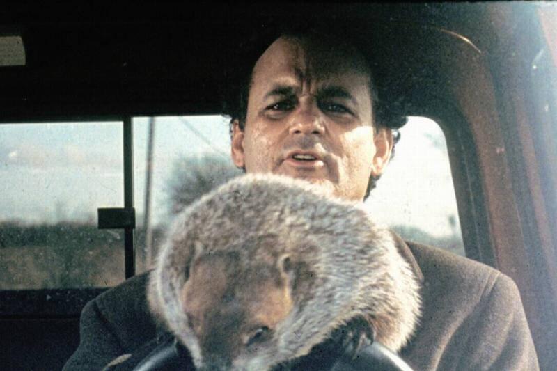 groundhog-day_oEHCQ5-11458