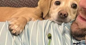 Heart-Melting Photos Of Animals That Are Way Too Cute