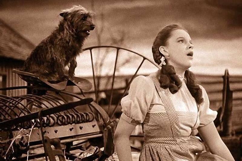 the-wizard-of-oz_0e7b77b9 the-wizard-of-oz_0e7b77b9