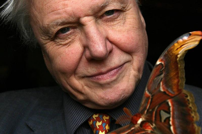 David Attenborough Unveils Details Of Butterfly World