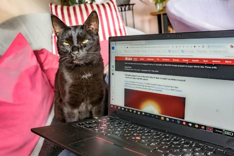 A black cat sits next to a laptop...