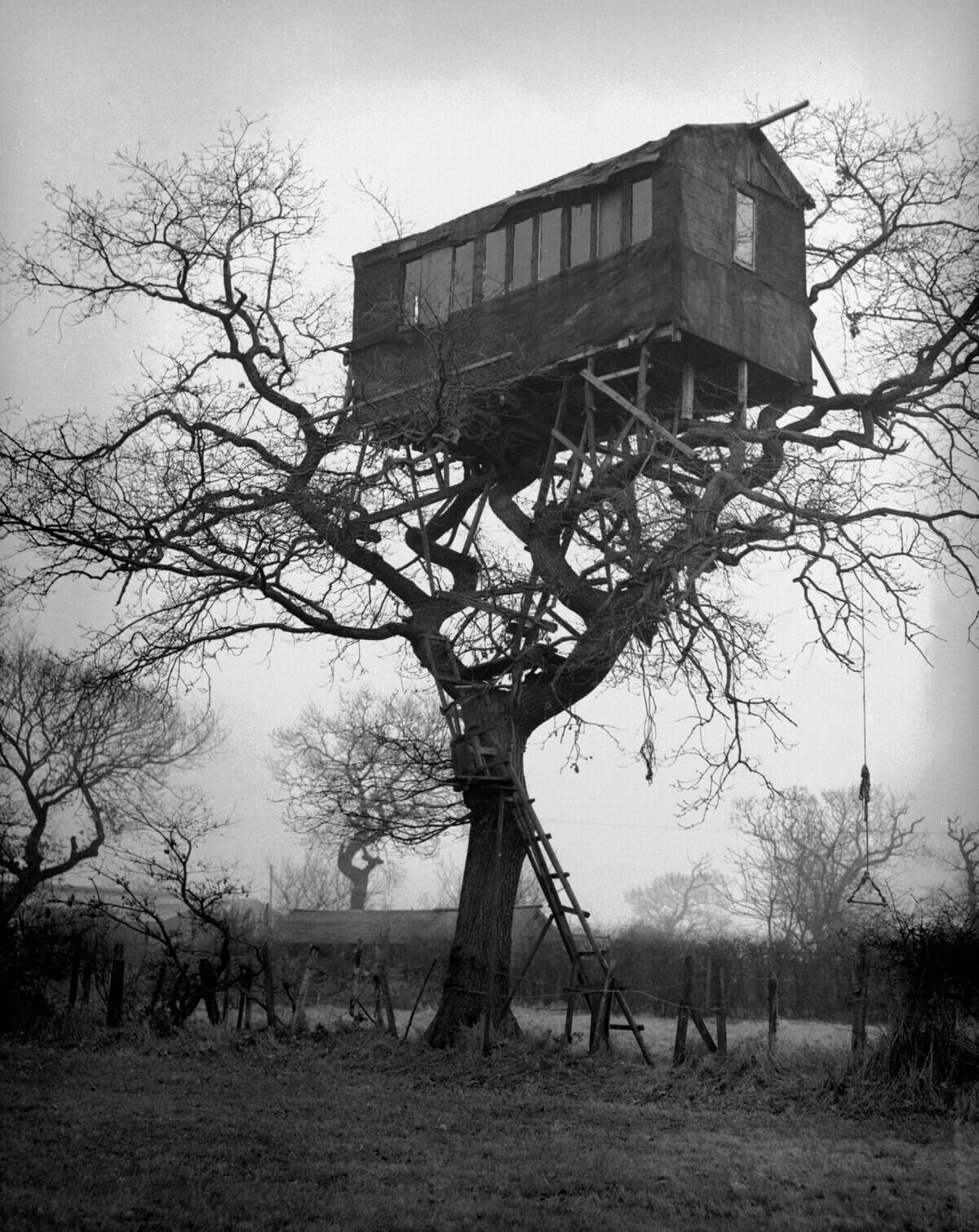 A Tree House some where in the Kent countyside Circa 1957