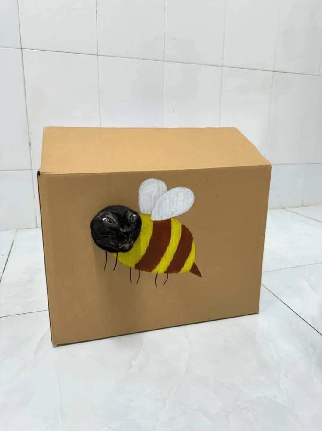 box