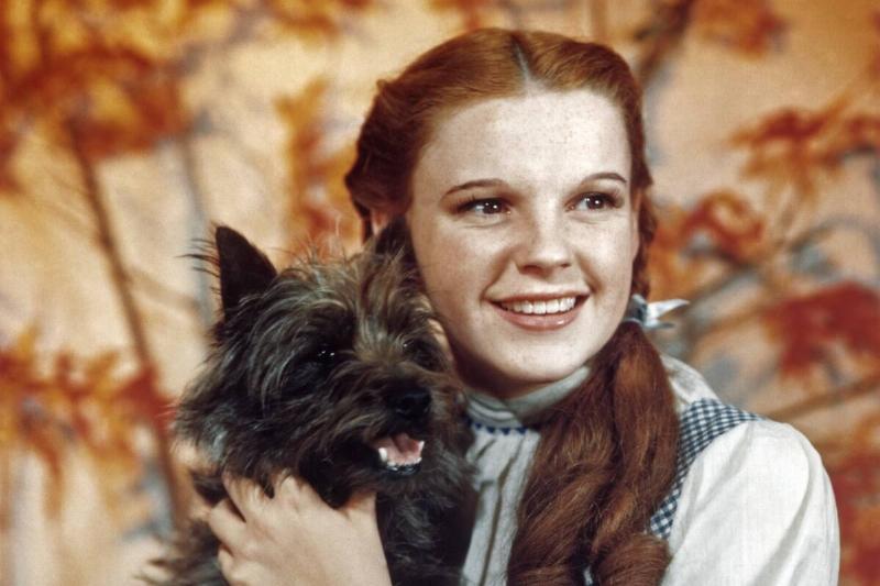 Judy Garland in The Wizard of Oz Judy Garland in The Wizard of Oz