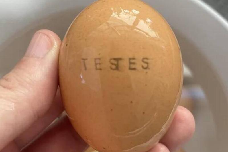 this-egg-has-testes-stamped-on-it-v0-w1zrr0tlc69e1