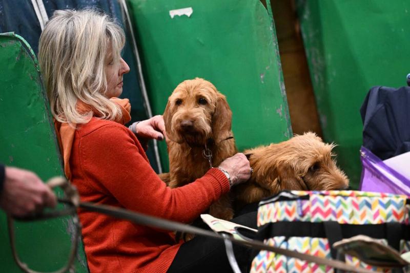 GettyImages-1384318807