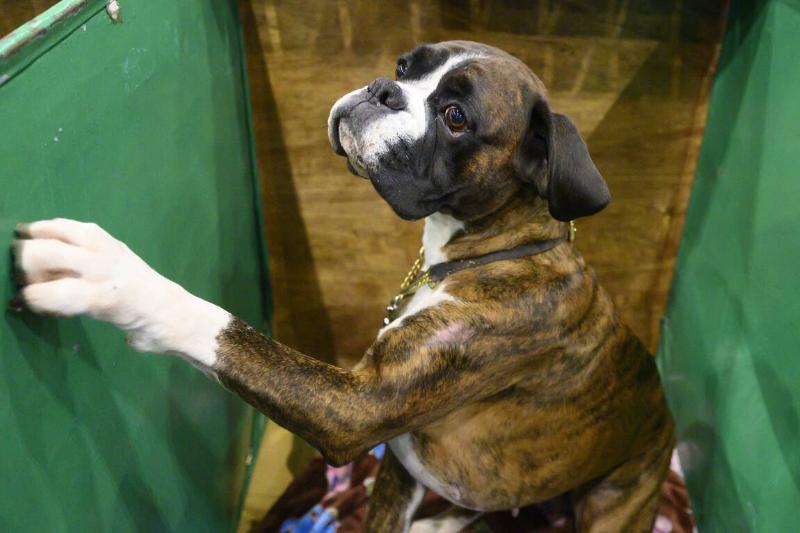 GettyImages-1472579246