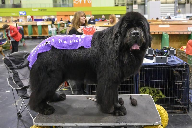 GettyImages-1472579337