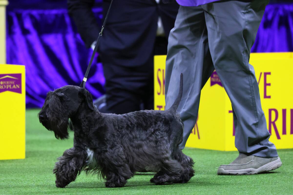 GettyImages-1488722555