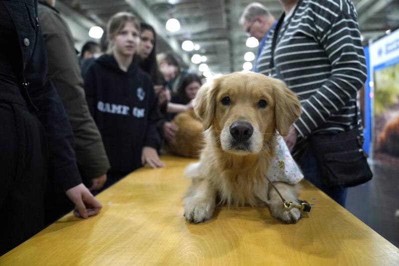 GettyImages-2195292646