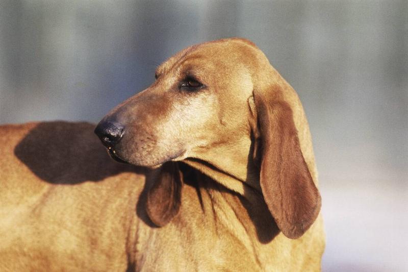 GettyImages-492764177