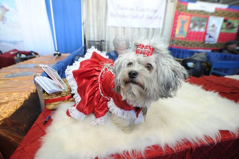 GettyImages-510049970