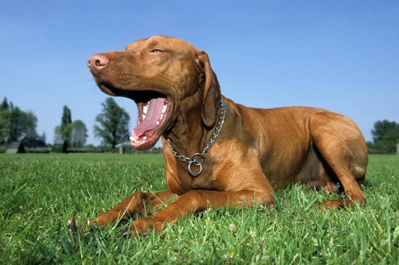 GettyImages-539276636