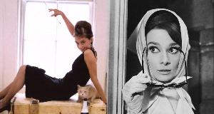 How Audrey Hepburn Became a Hollywood Legend and Humanitarian