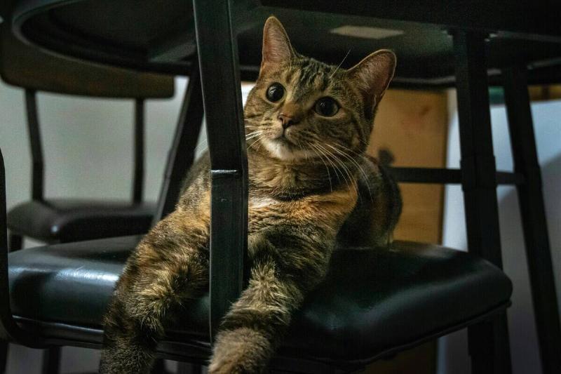 ruben-valenzuela-ov3qs_fdZsk-unsplash