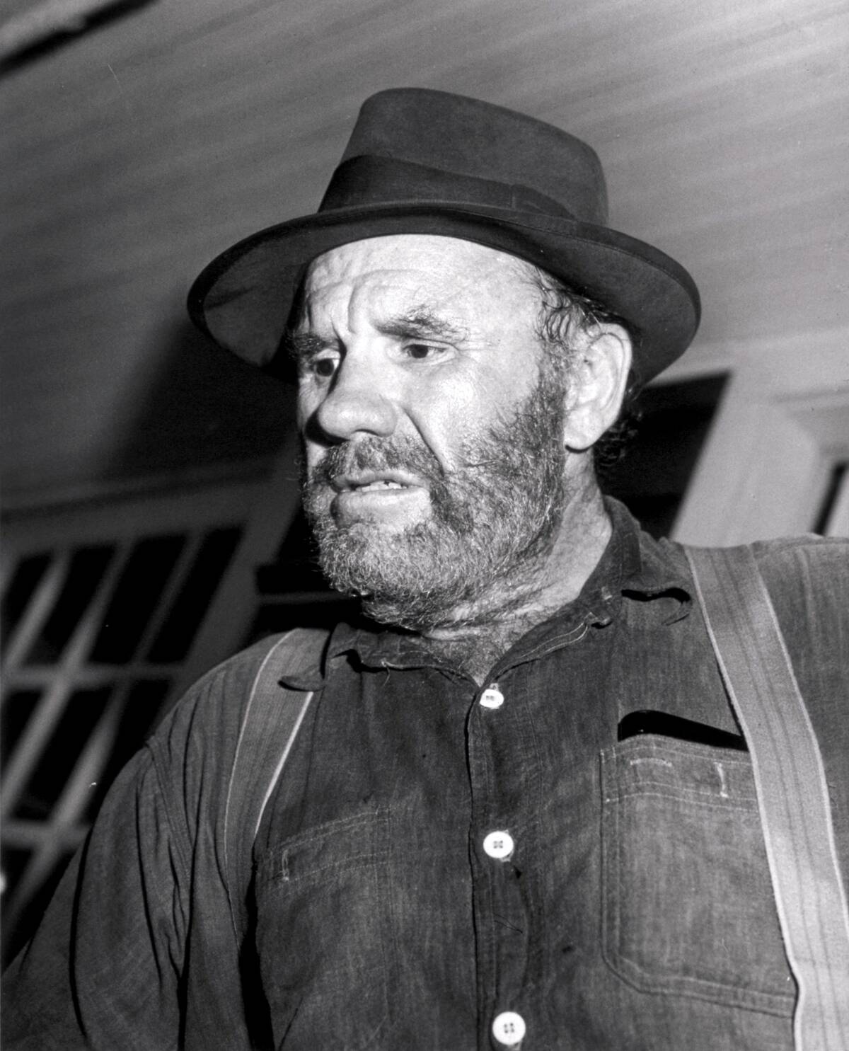 white-lightning_4SHwpU