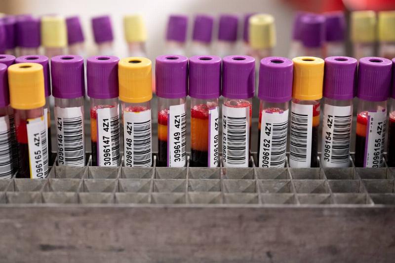 World Blood Donor Day