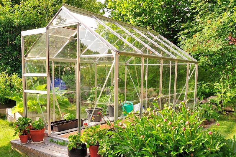 Greenhouse-1-83521-55109